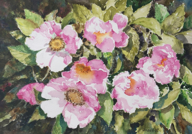 Painting for sale online - The rose hips are blooming