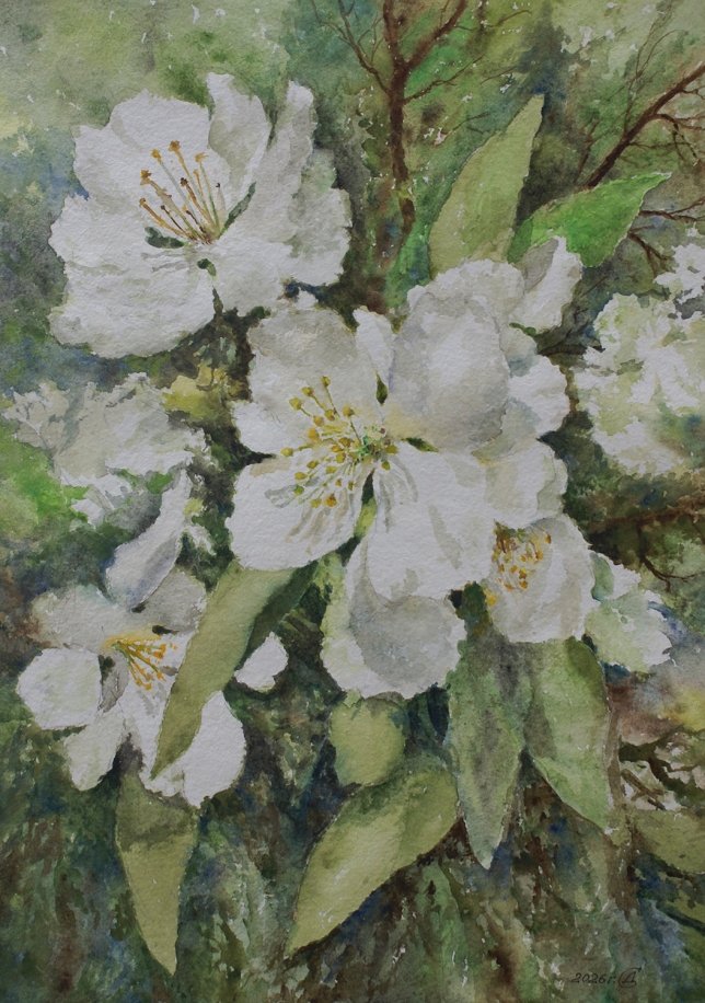 Painting for sale online - Jasmine in bloom