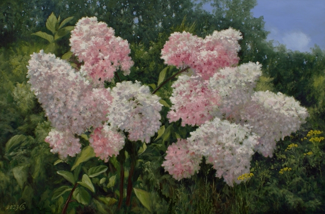 Painting for sale online - Hydrangea is blooming