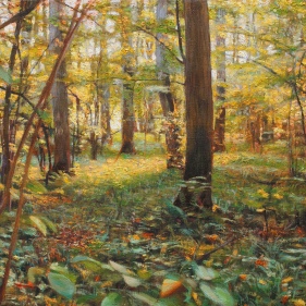 Painting for sale online - Sunny forest