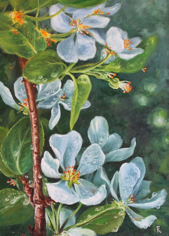 Painting for sale online - Apple blossoms in dew