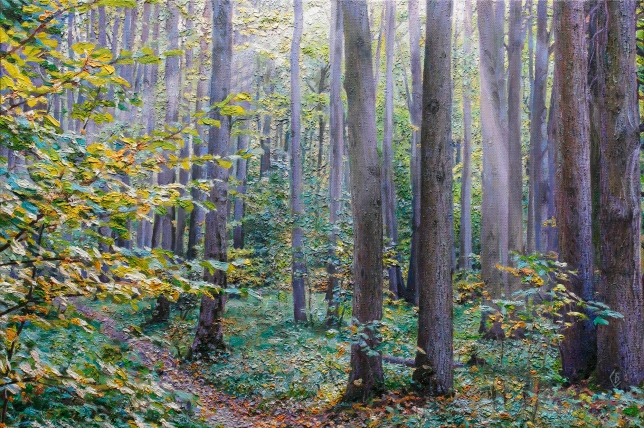 Painting for sale online - Rays of light in the forest