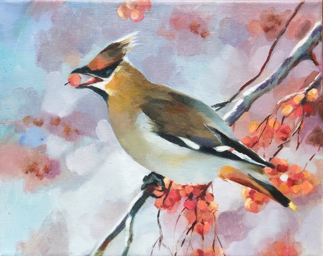 Painting for sale online - Waxwing
