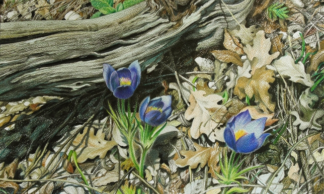 Painting for sale online - ROCK LILIES