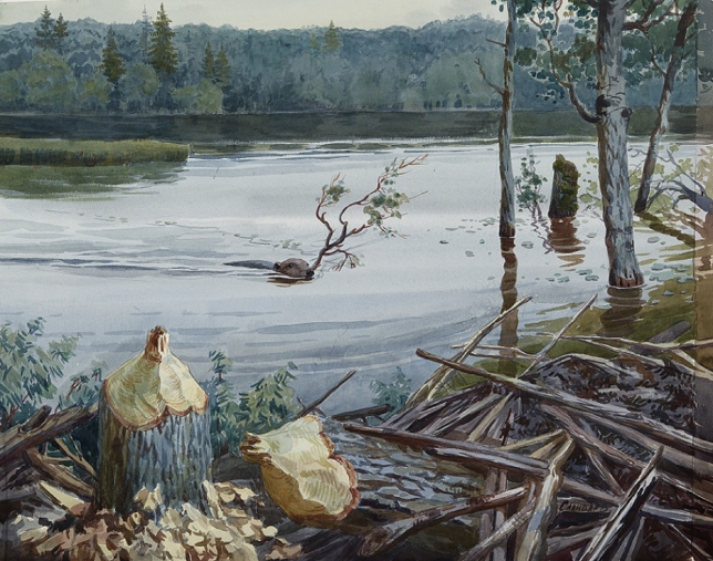 Painting for sale online - Beaver Bay