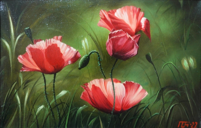 Painting for sale online - Poppies - 001
