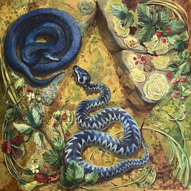 Painting for sale online - Viper's nest
