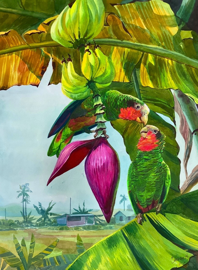 Painting for sale online - Tropical Date