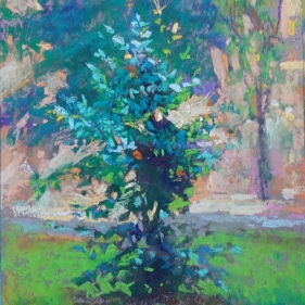 Painting for sale online - Young tree