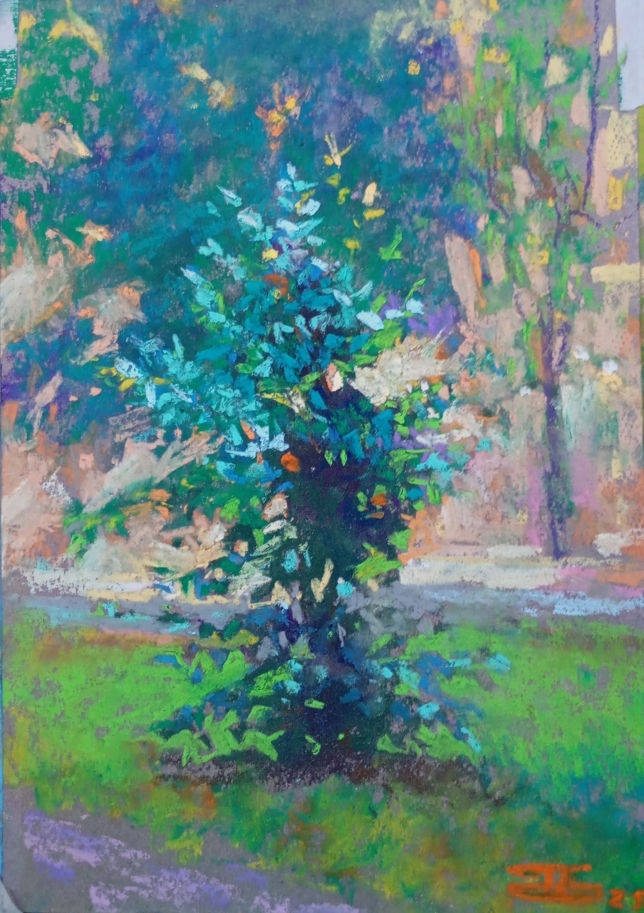 Painting for sale online - Young tree