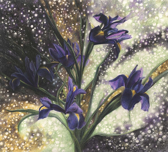 Painting for sale online - CONSTELLATIONS. JANUARY IRISES