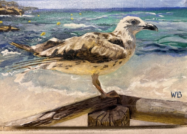 Painting for sale online - Seagull of Ses Eufabies