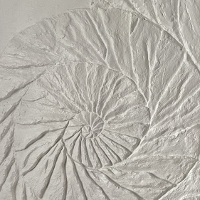 Painting for sale online - Ammonite