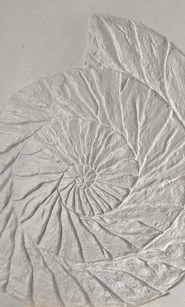 Painting for sale online - Ammonite