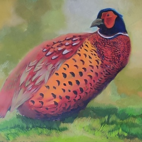 Painting for sale online - Pheasant