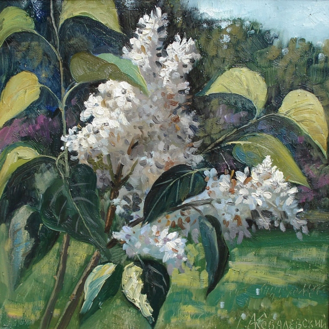 Painting for sale online - White lilac