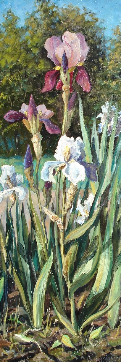 Painting for sale online - Irises