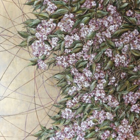 Painting for sale online - Sakura